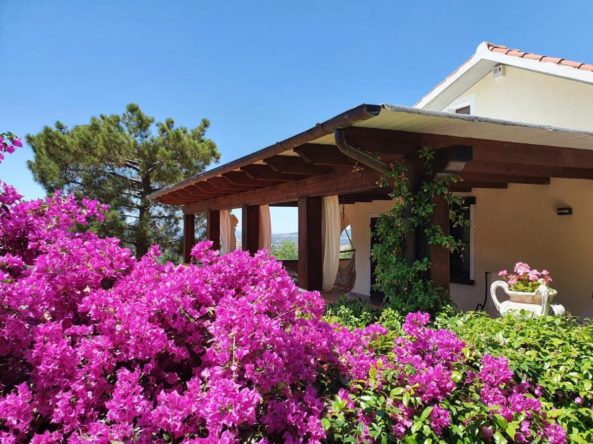 Villa Le Agavi & Spa Scarlino Exterior photo